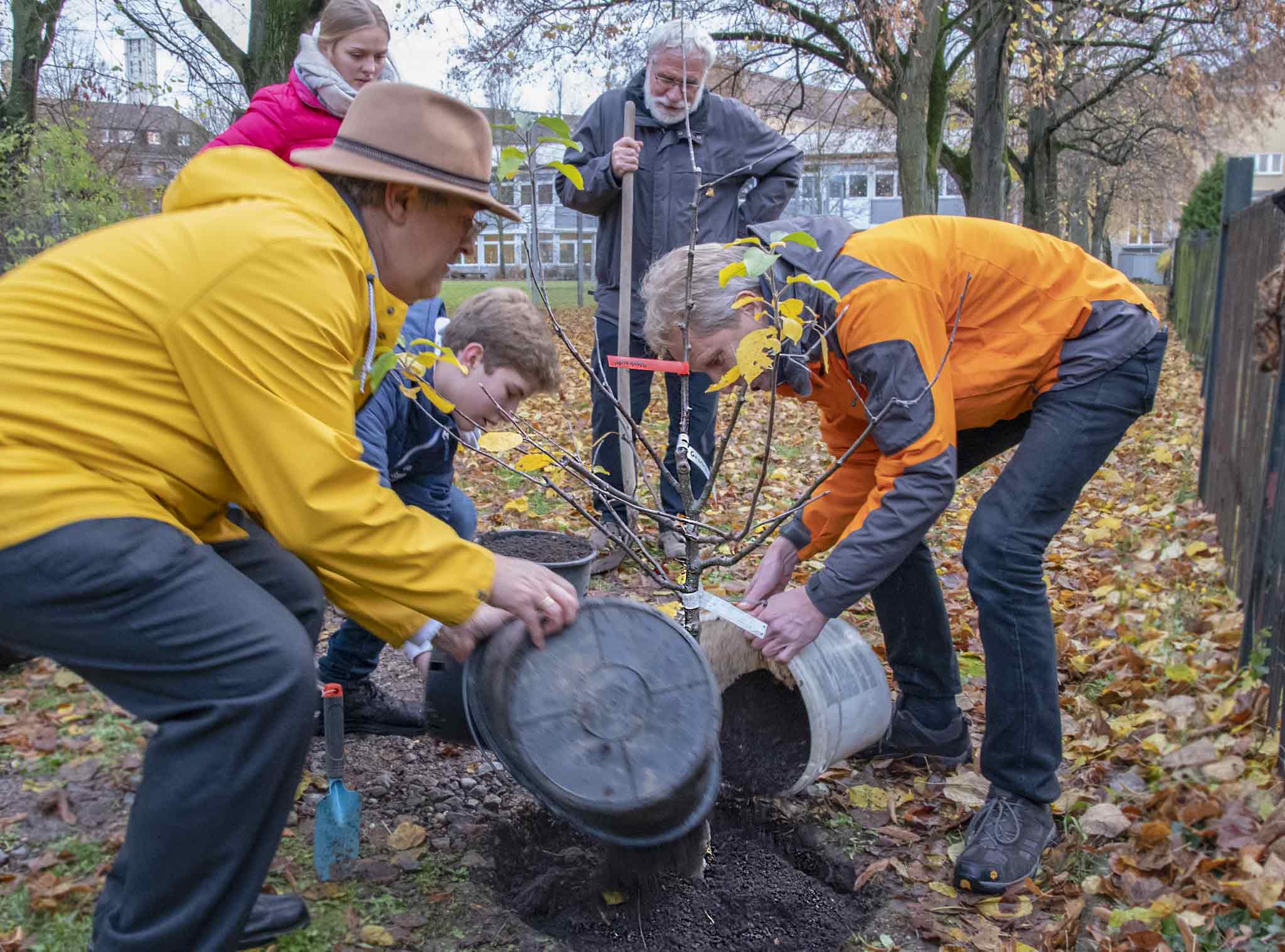 fridays for future